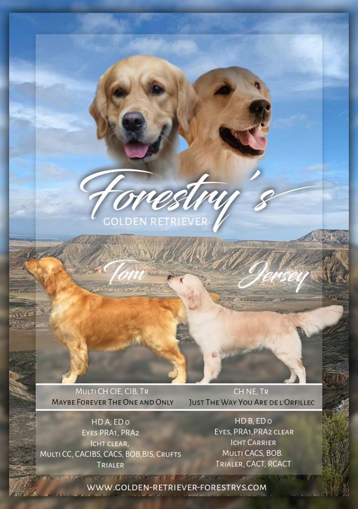 Forestry's - Nouvelle portée à l'élevage Forestry's!!!